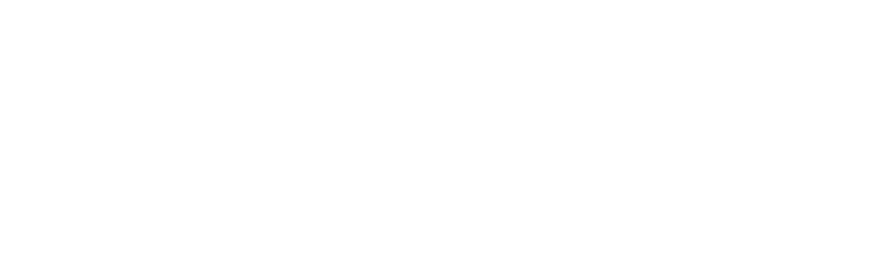 UNE — União Nacional de Educação Profissional